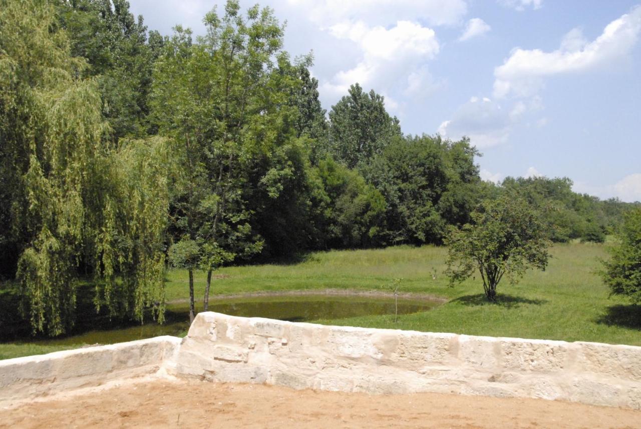 Les Chambres D'Ausilia Sablons  Exterior foto
